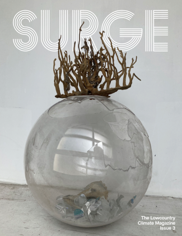 Surge - Issue 3: A Letter from the Editors